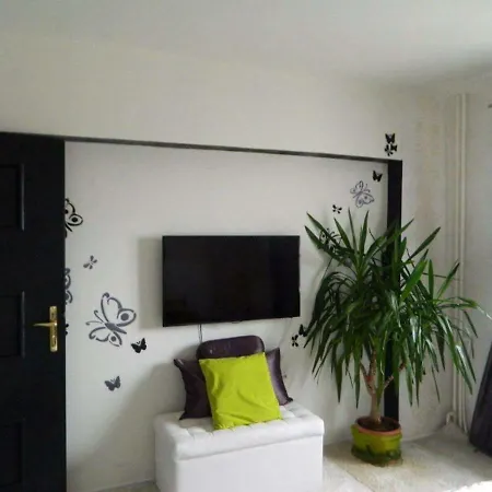 Manolo's Apartament 公寓